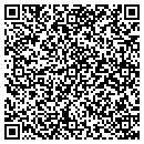 QR code with Pumpbizcom contacts