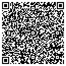 QR code with Blue Tower Institute contacts
