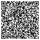 QR code with Clean Windows & More contacts