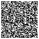QR code with Preview Systems Inc contacts