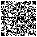 QR code with Copacetic Software Co contacts