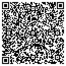 QR code with Pull Tab Palace contacts