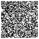 QR code with BLG Consulting Corp contacts