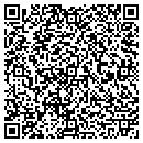 QR code with Carlton Technologies contacts