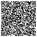 QR code with PSQ Dryclean contacts