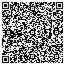 QR code with Prairie View contacts