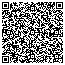 QR code with Carrollton Twp Office contacts