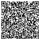 QR code with Blitz Systems contacts
