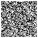 QR code with Blizzard Systems Inc contacts