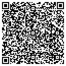 QR code with Carpe Diem Now Inc contacts