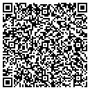 QR code with Cicero Public Library contacts
