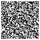 QR code with Public Storage contacts