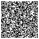 QR code with Professional Accountant contacts