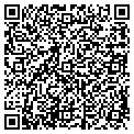 QR code with IBEW contacts