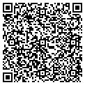 QR code with Sdtc contacts