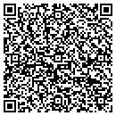 QR code with Cbf Technologies Inc contacts