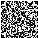QR code with Precise Steel contacts