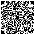 QR code with C Dow contacts