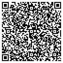 QR code with Chespeake Pools Inc contacts