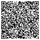 QR code with Catena Computers Inc contacts