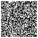 QR code with Premier Fine Jewelry contacts