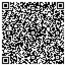 QR code with Public Sch Mntnc contacts