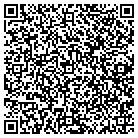 QR code with Public Information Corp contacts