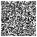 QR code with Precision Painting contacts