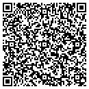QR code with Cobden Quick Service contacts