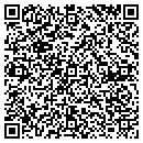 QR code with Public Storage 20621 contacts