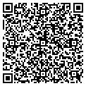 QR code with Omnium contacts