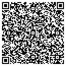 QR code with Color Works Plus Inc contacts