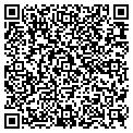 QR code with Curves contacts