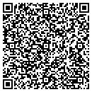 QR code with Pyramid Systems contacts