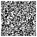 QR code with Pse Systems Inc contacts