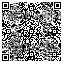 QR code with Primary Insights Inc contacts