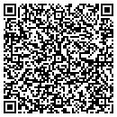 QR code with Blue Ice Designs contacts