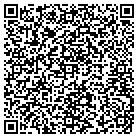 QR code with Babycub International Inc contacts