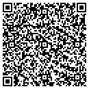 QR code with Catlin Twp Assessor contacts