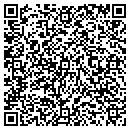 QR code with Cue-N- Cushion Sales contacts