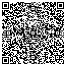 QR code with Chicago Dollar Plus contacts