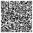 QR code with Blue Dolphin Pools contacts