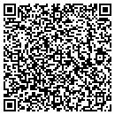QR code with Pursenality Plus Inc contacts