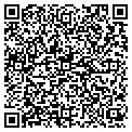 QR code with Allied contacts