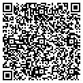 QR code with Yotem contacts