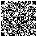 QR code with Baldwin Power Station contacts