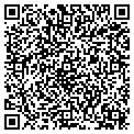 QR code with P C Biz contacts