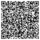 QR code with Cochran Engineering contacts