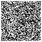 QR code with Pulaski Automotive Service contacts