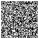 QR code with Public Payphones Inc contacts